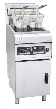 Electric Fryer